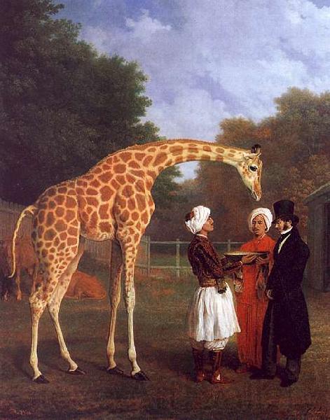 Jacques-Laurent Agasse The Nubian Giraffe Spain oil painting art